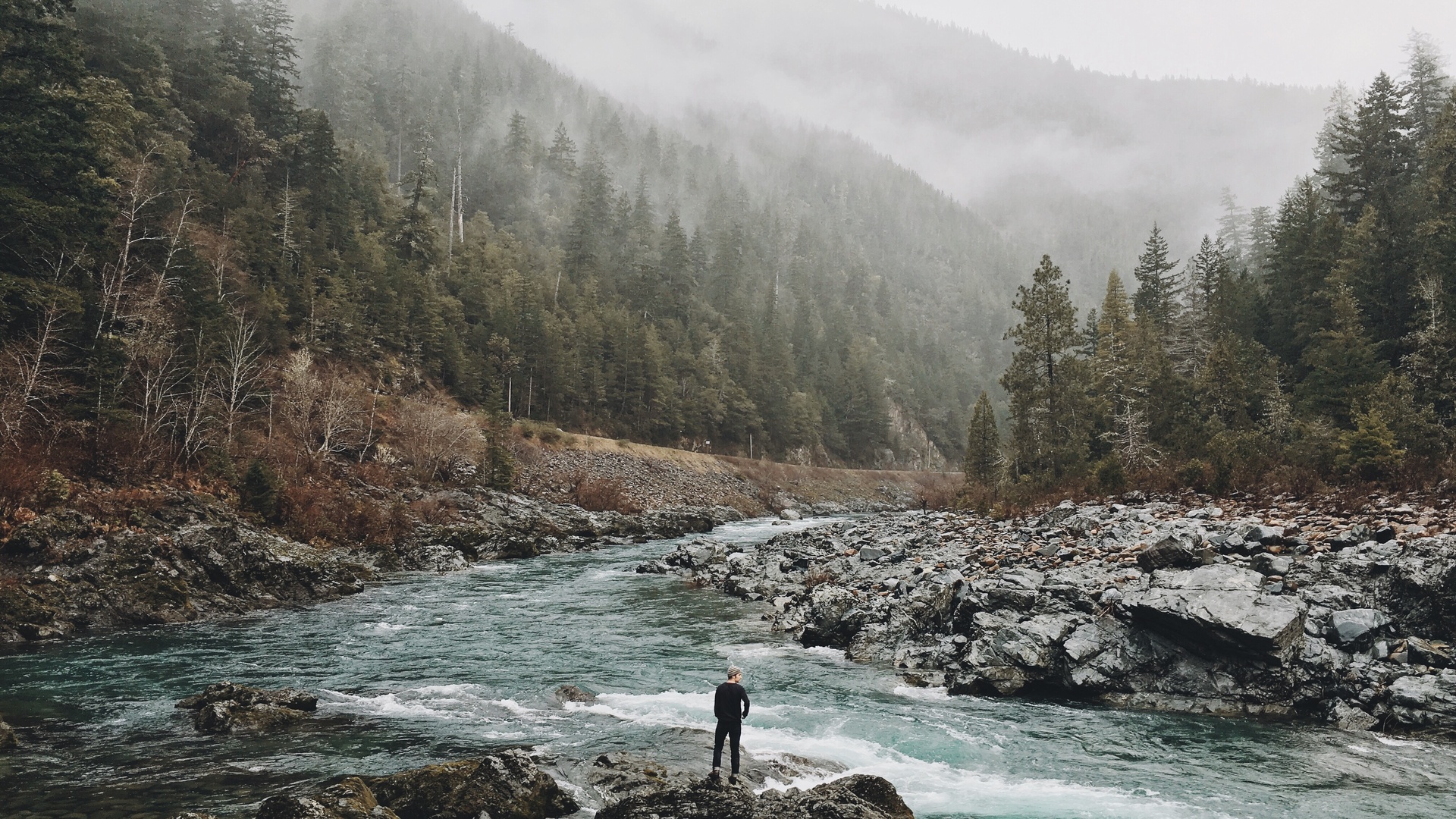 A man stands by a wild river and forests
